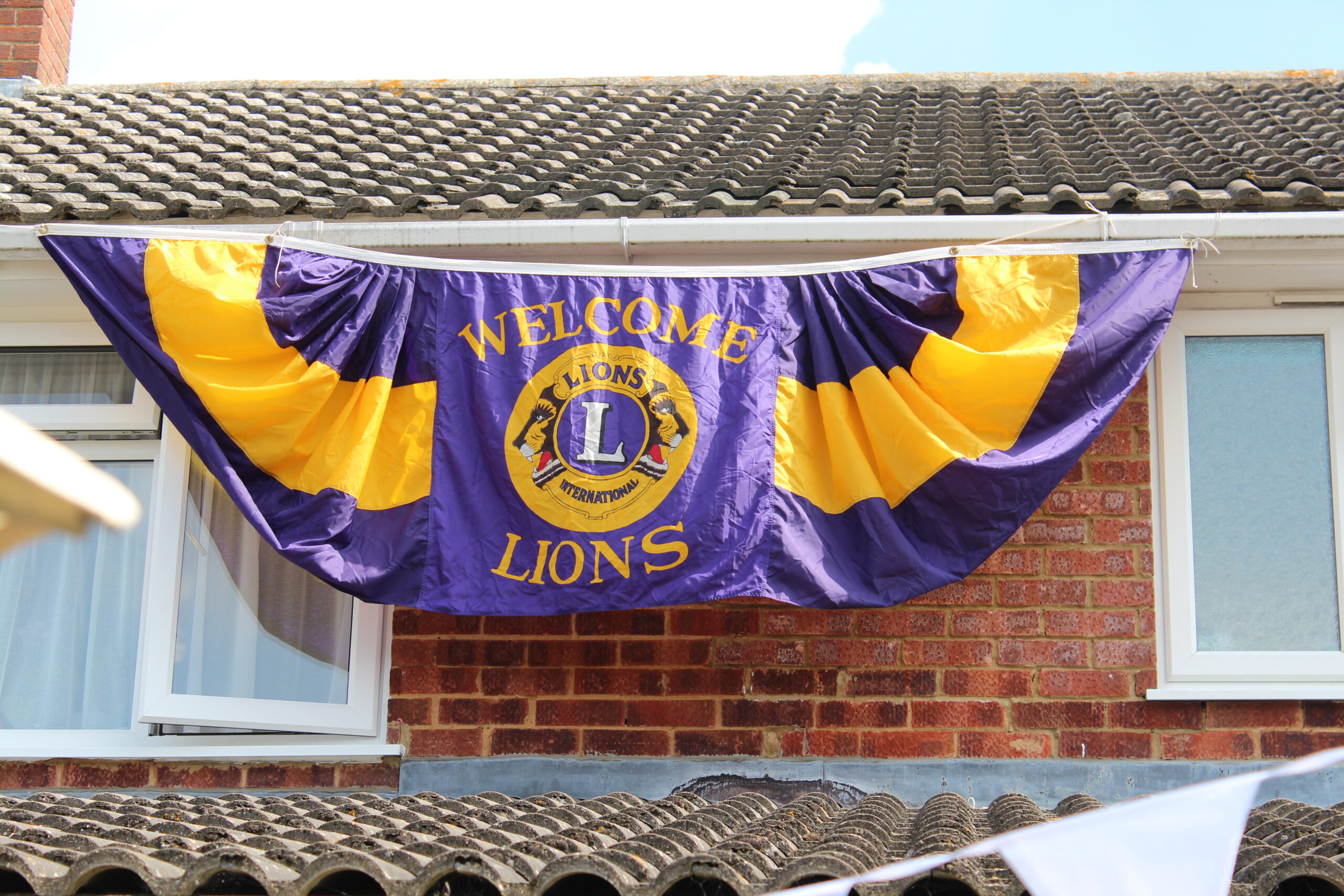 Lions Banner