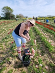 Robyn picking tulips