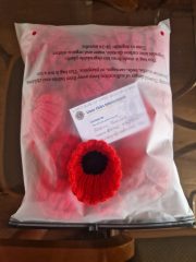 Robyn's knitted poppies for the pier