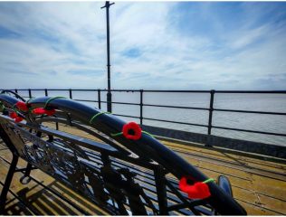 How the poppies will look on a bench