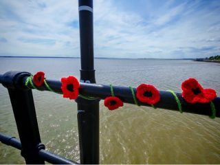 How the poppies will look on a hand rail