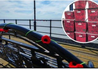 How the poppies will look on a bench, and box's of poppies