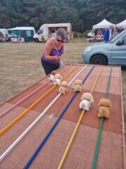 Robyn trying to encourage her dogs to win! Run by Chelmsford Lions Robyn trying to encourage her dogs to win! Run by Chelmsford Lions