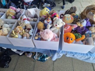 Teddy Tombola Teddy Tombola