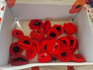 Robyn knitted 21 Poppies for the stall Robyn knitted 21 Poppies for the stall