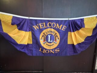 Lions Banner