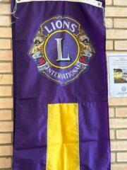 Lions Banner